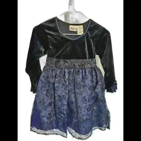 Elegant Girls' Velvet Party Dress with Floral Accents - Picture 1 of 5